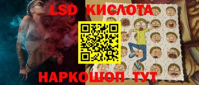 винт Сланцы