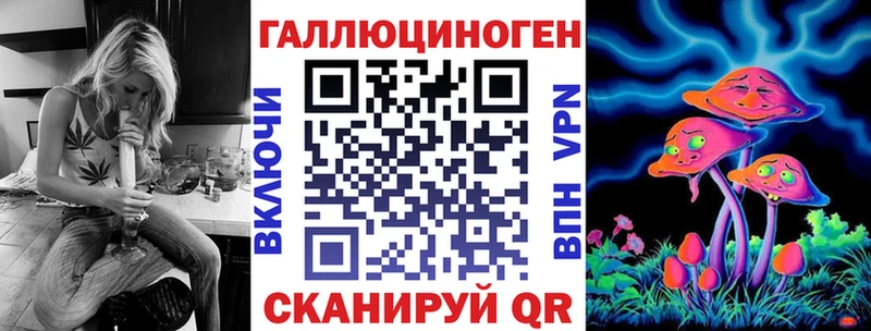 Псилоцибиновые грибы Psilocybine cubensis  Нарьян-Мар 