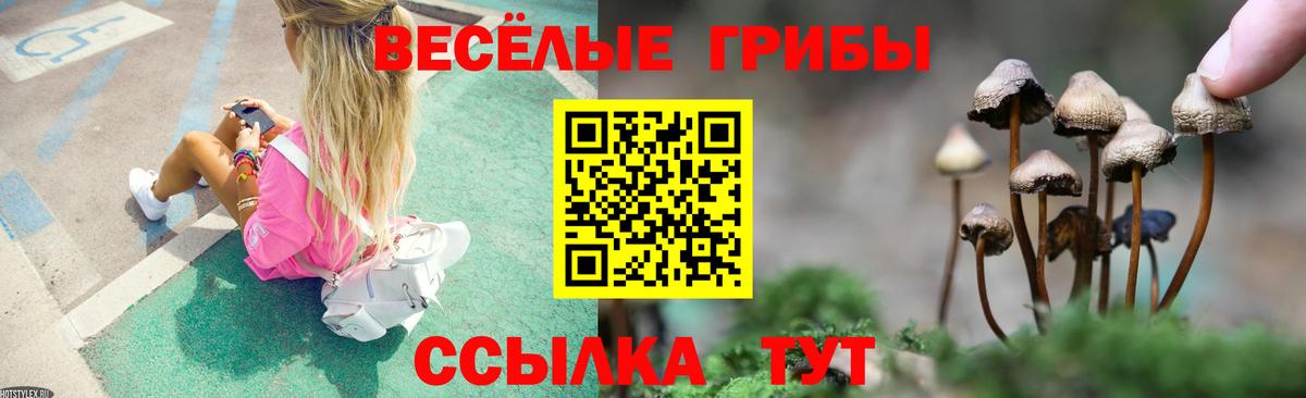 Псилоцибиновые грибы Magic Shrooms Нарьян-Мар